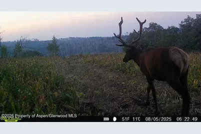 Tbd County Road 11, Craig, CO 81625 - Photo 5