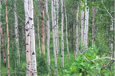 Tbd County Road 11, Craig, CO 81625 - Photo 39