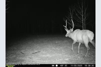 Tbd County Road 11, Craig, CO 81625 - Photo 21