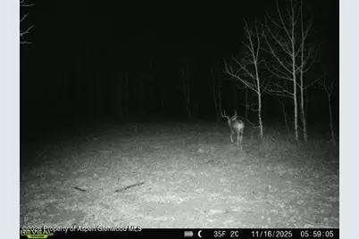 Tbd County Road 11, Craig, CO 81625 - Photo 23