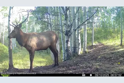 Tbd County Road 11, Craig, CO 81625 - Photo 9