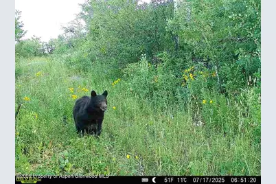 Tbd County Road 11, Craig, CO 81625 - Photo 27