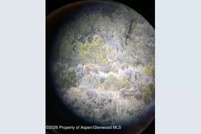 15086 45 1/2 Road, Mesa, CO 81643 - Photo 33