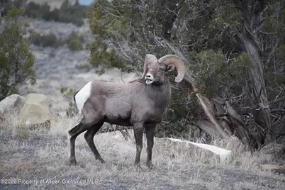 15086 45 1/2 Road, Mesa, CO 81643 - Photo 31