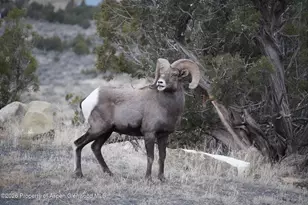 15086 45 1/2 Rd, Mesa, CO 81643 - Photo 31