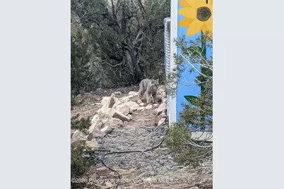 15086 45 1/2 Road, Mesa, CO 81643 - Photo 35