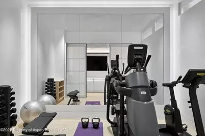 227 E Bleeker Street, Aspen, CO 81611 - Photo 55