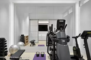 227 E Bleeker St, Aspen, CO 81611 - Photo 55