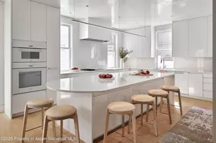 227 E Bleeker St, Aspen, CO 81611 - Photo 5