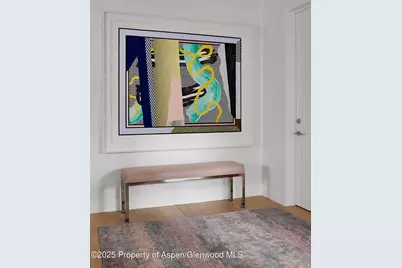 227 E Bleeker Street, Aspen, CO 81611 - Photo 9