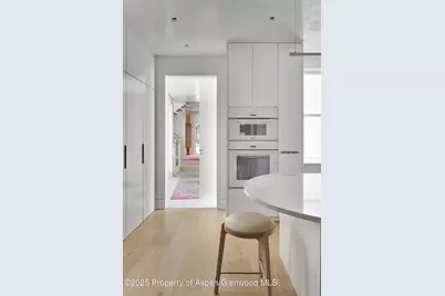 227 E Bleeker Street, Aspen, CO 81611 - Photo 25