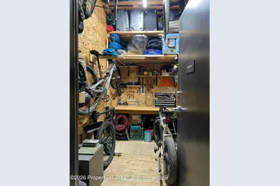 22860 Two Rivers Road #274, Basalt, CO 81621 - Photo 9