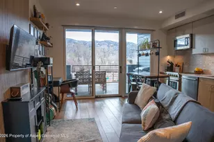 22860 Two Rivers Rd, Basalt, CO 81621 - Photo 7