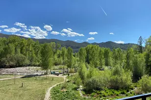 22860 Two Rivers Rd, Basalt, CO 81621 - Photo 5