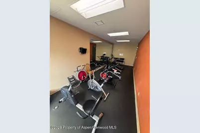 361 Robinson Street #232, Basalt, CO 81621 - Photo 23