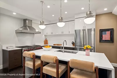 105 E Bleeker Street, Aspen, CO 81611 - Photo 9