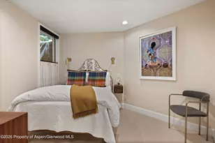 105 E Bleeker St, Aspen, CO 81611 - Photo 21