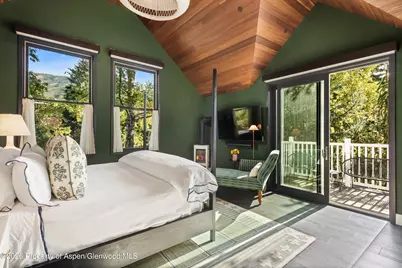 105 E Bleeker Street, Aspen, CO 81611 - Photo 13