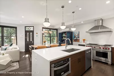 105 E Bleeker Street, Aspen, CO 81611 - Photo 11