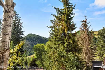 105 E Bleeker Street, Aspen, CO 81611 - Photo 19