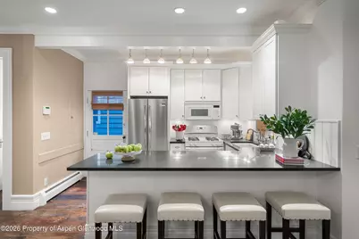 215 W Bleeker Street, Aspen, CO 81611 - Photo 13