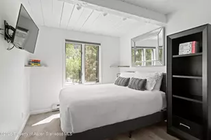 1024 E Cooper Ave, Aspen, CO 81611 - Photo 21