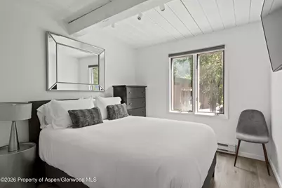1024 E Cooper Avenue #2, Aspen, CO 81611 - Photo 9