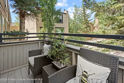 1024 E Cooper Avenue #2, Aspen, CO 81611 - Photo 11