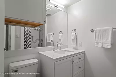 1024 E Cooper Avenue #2, Aspen, CO 81611 - Photo 15