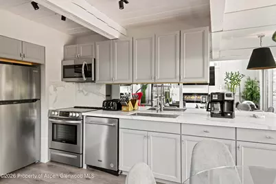 1024 E Cooper Avenue #2, Aspen, CO 81611 - Photo 7