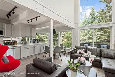 1024 E Cooper Avenue #2, Aspen, CO 81611 - Photo 1