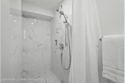 1024 E Cooper Avenue #2, Aspen, CO 81611 - Photo 13