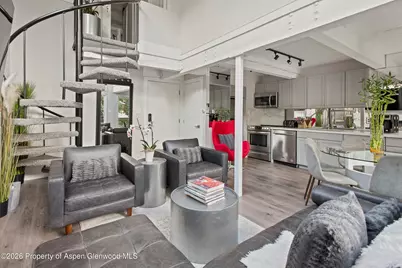 1024 E Cooper Avenue #2, Aspen, CO 81611 - Photo 7