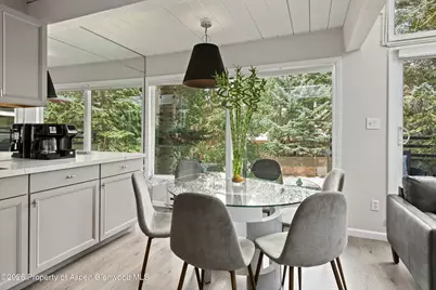 1024 E Cooper Avenue #2, Aspen, CO 81611 - Photo 11