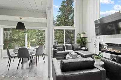 1024 E Cooper Avenue #2, Aspen, CO 81611 - Photo 5