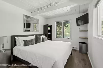 1024 E Cooper Avenue #2, Aspen, CO 81611 - Photo 11