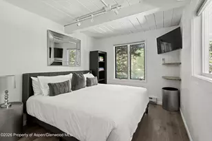 1024 E Cooper Ave, Aspen, CO 81611 - Photo 11