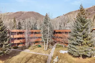 1325 Vine St, Aspen, CO 81611 - Photo 11