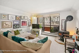 1325 Vine St, Aspen, CO 81611 - Photo 1