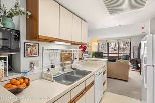 1325 Vine St, Aspen, CO 81611 - Photo 7