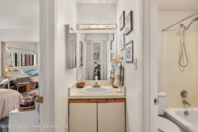 1325 Vine Street, Aspen, CO 81611 - Photo 9