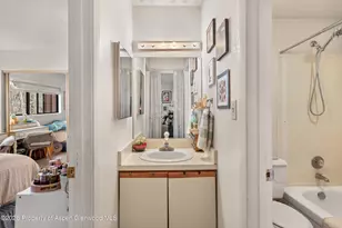 1325 Vine St, Aspen, CO 81611 - Photo 9