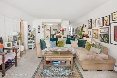 1325 Vine Street, Aspen, CO 81611 - Photo 3