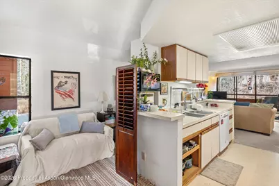 1325 Vine Street, Aspen, CO 81611 - Photo 5