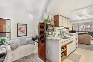 1325 Vine St, Aspen, CO 81611 - Photo 5