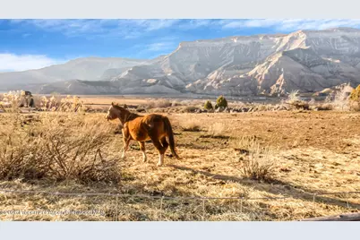 201 Dj Road #201 Dj Road Bunk House, Parachute, CO 81635 - Photo 69