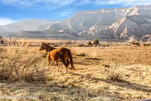 201 Dj Rd, Parachute, CO 81635 - Photo 69