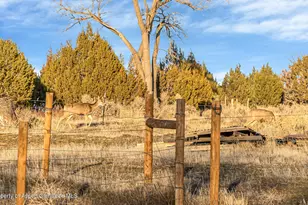 201 Dj Rd, Parachute, CO 81635 - Photo 83