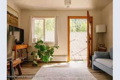 333 W Main Street #B2, Aspen, CO 81611 - Photo 5