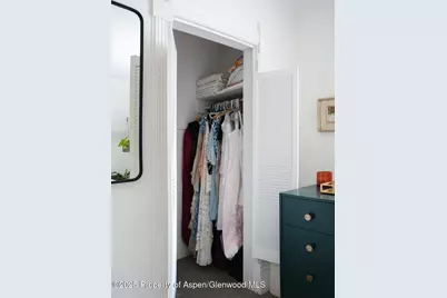 333 W Main Street #B2, Aspen, CO 81611 - Photo 19